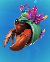 Shelly