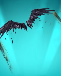 Wingspan