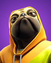 Doggo