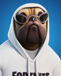 Shady Doggo
