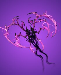 Corrupted Tendrils