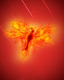 The Phoenix Force