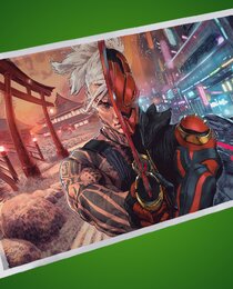 Ronin's Revenge 