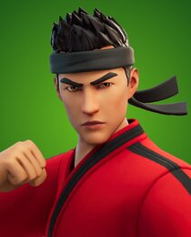 Black Belt Brawler