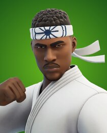 Dojo Defender