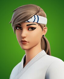 Kata Captain