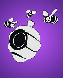 The Bee Team