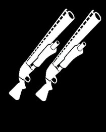 Banner Icon