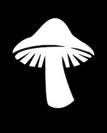 Banner Icon