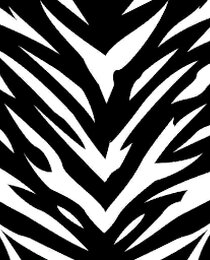 Banner Icon