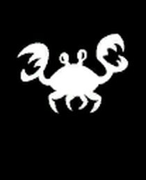 Banner Icon