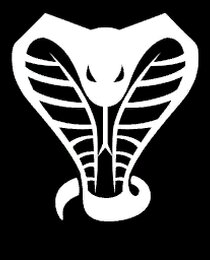 Banner Icon