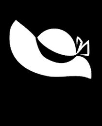 Banner Icon