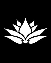 Banner Icon