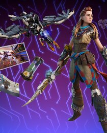 HORIZON ZERO DAWN BUNDLE