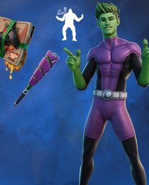 Beast Boy Bundle