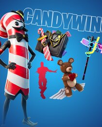CANDYWING'S LOCKER BUNDLE