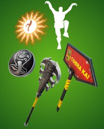 COBRA KAI GEAR BUNDLE