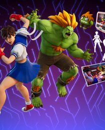 Sakura & Blanka Bundle