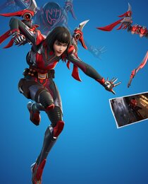 THE ORDER BUNDLE