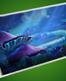 Niteshroom Valley
