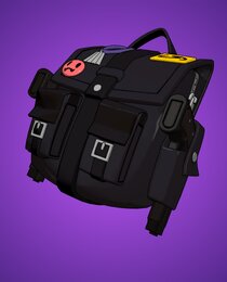 Little Black Bag