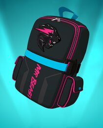 Prize Package