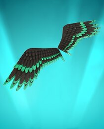 Victory in Flight