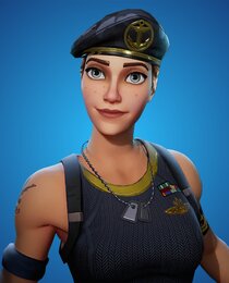 Brawler