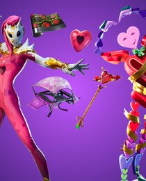Wild Hearts Bundle