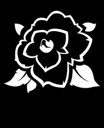 Banner Icon