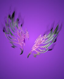 Cazadora Wings