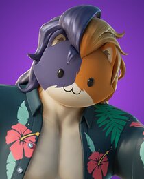 Purradise Meowscles
