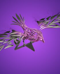 Cazadora