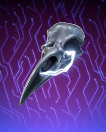 Bird Skull