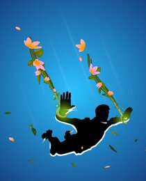 Blossom Drop
